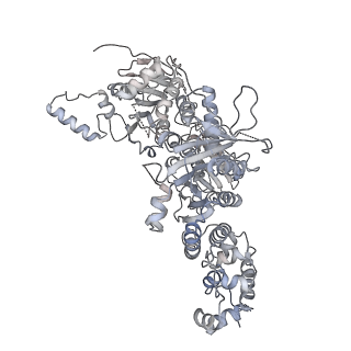 10052_6rxu_CS_v1-1
Cryo-EM structure of the 90S pre-ribosome (Kre33-Noc4) from Chaetomium thermophilum, state B1