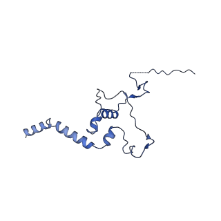 10052_6rxu_CT_v1-1
Cryo-EM structure of the 90S pre-ribosome (Kre33-Noc4) from Chaetomium thermophilum, state B1