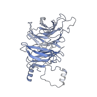 10052_6rxu_CW_v1-1
Cryo-EM structure of the 90S pre-ribosome (Kre33-Noc4) from Chaetomium thermophilum, state B1