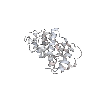 10052_6rxu_CX_v1-1
Cryo-EM structure of the 90S pre-ribosome (Kre33-Noc4) from Chaetomium thermophilum, state B1