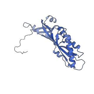 10052_6rxu_Ca_v1-1
Cryo-EM structure of the 90S pre-ribosome (Kre33-Noc4) from Chaetomium thermophilum, state B1