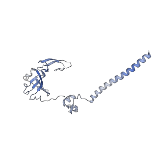 10052_6rxu_Cd_v1-1
Cryo-EM structure of the 90S pre-ribosome (Kre33-Noc4) from Chaetomium thermophilum, state B1