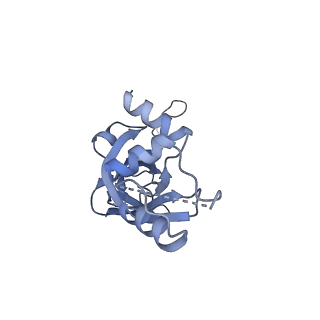 10052_6rxu_Cf_v1-1
Cryo-EM structure of the 90S pre-ribosome (Kre33-Noc4) from Chaetomium thermophilum, state B1