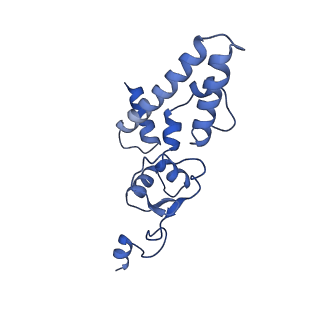 10052_6rxu_Cg_v1-1
Cryo-EM structure of the 90S pre-ribosome (Kre33-Noc4) from Chaetomium thermophilum, state B1