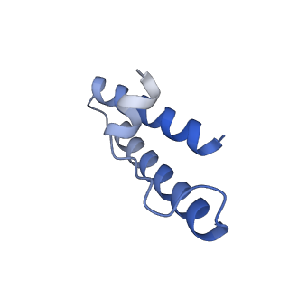 10052_6rxu_Ch_v1-1
Cryo-EM structure of the 90S pre-ribosome (Kre33-Noc4) from Chaetomium thermophilum, state B1