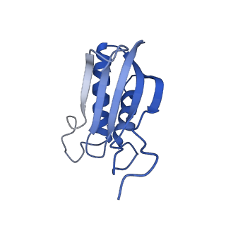 10052_6rxu_Ci_v1-1
Cryo-EM structure of the 90S pre-ribosome (Kre33-Noc4) from Chaetomium thermophilum, state B1