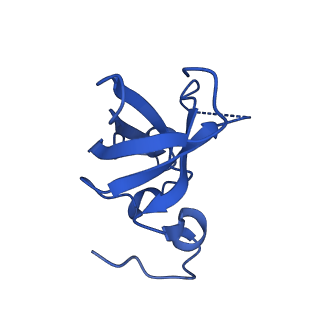 10052_6rxu_Cn_v1-1
Cryo-EM structure of the 90S pre-ribosome (Kre33-Noc4) from Chaetomium thermophilum, state B1