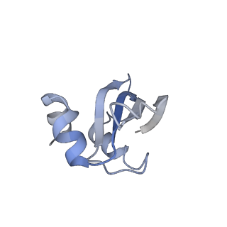 10052_6rxu_Co_v1-1
Cryo-EM structure of the 90S pre-ribosome (Kre33-Noc4) from Chaetomium thermophilum, state B1