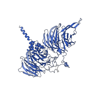10052_6rxu_UA_v1-1
Cryo-EM structure of the 90S pre-ribosome (Kre33-Noc4) from Chaetomium thermophilum, state B1