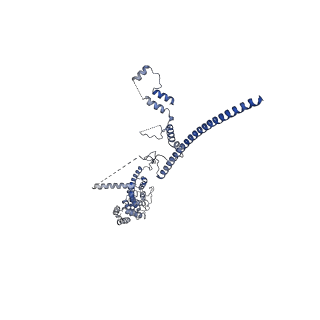 10052_6rxu_UB_v1-1
Cryo-EM structure of the 90S pre-ribosome (Kre33-Noc4) from Chaetomium thermophilum, state B1