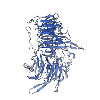 10052_6rxu_UD_v1-1
Cryo-EM structure of the 90S pre-ribosome (Kre33-Noc4) from Chaetomium thermophilum, state B1
