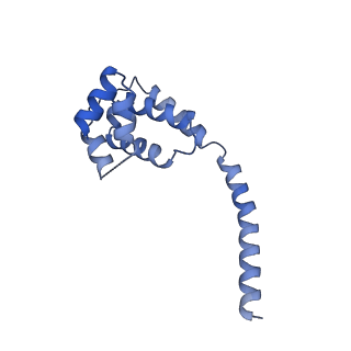 10052_6rxu_UE_v1-1
Cryo-EM structure of the 90S pre-ribosome (Kre33-Noc4) from Chaetomium thermophilum, state B1