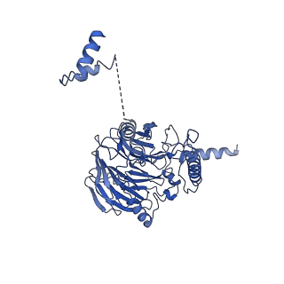 10052_6rxu_UG_v1-1
Cryo-EM structure of the 90S pre-ribosome (Kre33-Noc4) from Chaetomium thermophilum, state B1