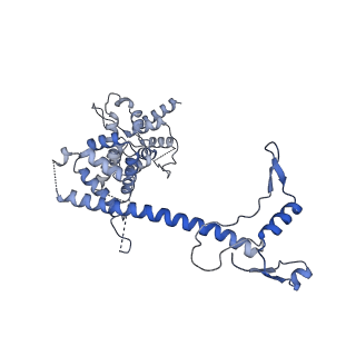 10052_6rxu_UH_v1-1
Cryo-EM structure of the 90S pre-ribosome (Kre33-Noc4) from Chaetomium thermophilum, state B1