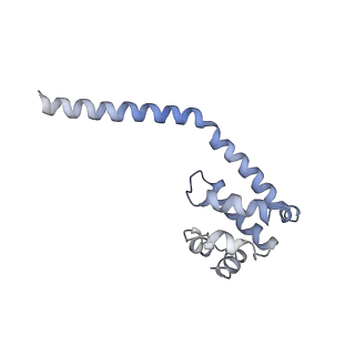 10052_6rxu_UI_v1-1
Cryo-EM structure of the 90S pre-ribosome (Kre33-Noc4) from Chaetomium thermophilum, state B1