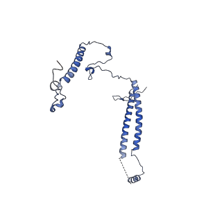 10052_6rxu_UK_v1-1
Cryo-EM structure of the 90S pre-ribosome (Kre33-Noc4) from Chaetomium thermophilum, state B1