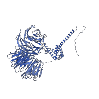 10052_6rxu_UL_v1-1
Cryo-EM structure of the 90S pre-ribosome (Kre33-Noc4) from Chaetomium thermophilum, state B1