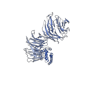 10052_6rxu_UM_v1-1
Cryo-EM structure of the 90S pre-ribosome (Kre33-Noc4) from Chaetomium thermophilum, state B1