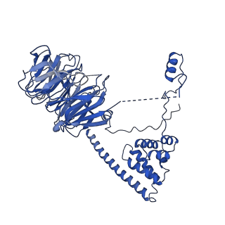 10052_6rxu_UO_v1-1
Cryo-EM structure of the 90S pre-ribosome (Kre33-Noc4) from Chaetomium thermophilum, state B1