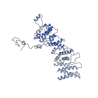 10052_6rxu_US_v1-1
Cryo-EM structure of the 90S pre-ribosome (Kre33-Noc4) from Chaetomium thermophilum, state B1