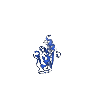 10052_6rxu_UX_v1-1
Cryo-EM structure of the 90S pre-ribosome (Kre33-Noc4) from Chaetomium thermophilum, state B1