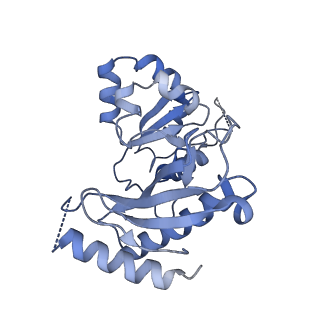 10052_6rxu_UZ_v1-1
Cryo-EM structure of the 90S pre-ribosome (Kre33-Noc4) from Chaetomium thermophilum, state B1