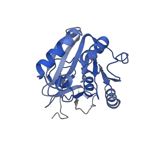 10053_6rxv_CA_v1-1
Cryo-EM structure of the 90S pre-ribosome (Kre33-Noc4) from Chaetomium thermophilum, state B2