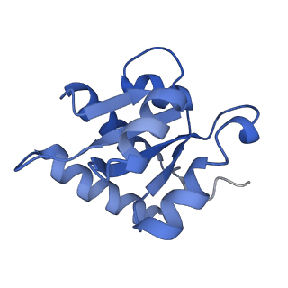 10053_6rxv_CE_v1-1
Cryo-EM structure of the 90S pre-ribosome (Kre33-Noc4) from Chaetomium thermophilum, state B2