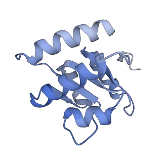 10053_6rxv_CF_v1-1
Cryo-EM structure of the 90S pre-ribosome (Kre33-Noc4) from Chaetomium thermophilum, state B2