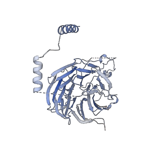 10053_6rxv_CG_v1-1
Cryo-EM structure of the 90S pre-ribosome (Kre33-Noc4) from Chaetomium thermophilum, state B2