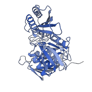 10053_6rxv_CH_v1-1
Cryo-EM structure of the 90S pre-ribosome (Kre33-Noc4) from Chaetomium thermophilum, state B2