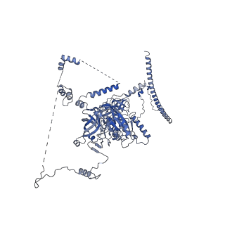 10053_6rxv_CI_v1-1
Cryo-EM structure of the 90S pre-ribosome (Kre33-Noc4) from Chaetomium thermophilum, state B2