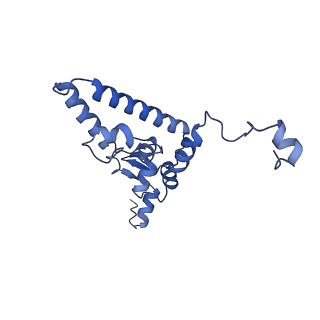 10053_6rxv_CJ_v1-1
Cryo-EM structure of the 90S pre-ribosome (Kre33-Noc4) from Chaetomium thermophilum, state B2