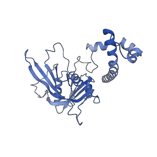 10053_6rxv_CK_v1-1
Cryo-EM structure of the 90S pre-ribosome (Kre33-Noc4) from Chaetomium thermophilum, state B2