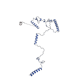 10053_6rxv_CL_v1-1
Cryo-EM structure of the 90S pre-ribosome (Kre33-Noc4) from Chaetomium thermophilum, state B2