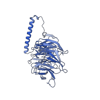 10053_6rxv_CM_v1-1
Cryo-EM structure of the 90S pre-ribosome (Kre33-Noc4) from Chaetomium thermophilum, state B2
