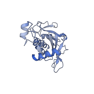10053_6rxv_CN_v1-1
Cryo-EM structure of the 90S pre-ribosome (Kre33-Noc4) from Chaetomium thermophilum, state B2