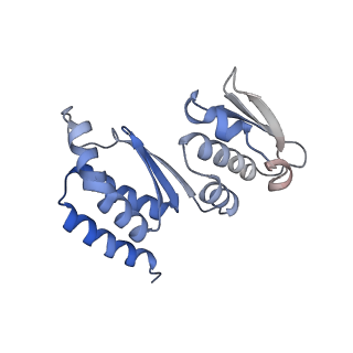 10053_6rxv_CQ_v1-1
Cryo-EM structure of the 90S pre-ribosome (Kre33-Noc4) from Chaetomium thermophilum, state B2