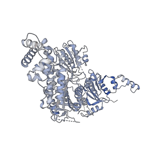10053_6rxv_CR_v1-1
Cryo-EM structure of the 90S pre-ribosome (Kre33-Noc4) from Chaetomium thermophilum, state B2