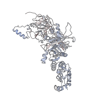 10053_6rxv_CS_v1-1
Cryo-EM structure of the 90S pre-ribosome (Kre33-Noc4) from Chaetomium thermophilum, state B2