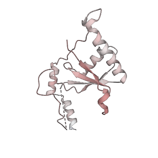 10053_6rxv_CV_v1-1
Cryo-EM structure of the 90S pre-ribosome (Kre33-Noc4) from Chaetomium thermophilum, state B2