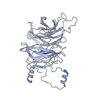 10053_6rxv_CW_v1-1
Cryo-EM structure of the 90S pre-ribosome (Kre33-Noc4) from Chaetomium thermophilum, state B2