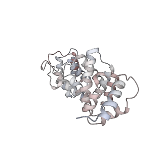 10053_6rxv_CX_v1-1
Cryo-EM structure of the 90S pre-ribosome (Kre33-Noc4) from Chaetomium thermophilum, state B2