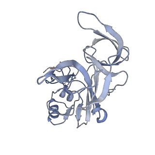 10053_6rxv_Cb_v1-1
Cryo-EM structure of the 90S pre-ribosome (Kre33-Noc4) from Chaetomium thermophilum, state B2