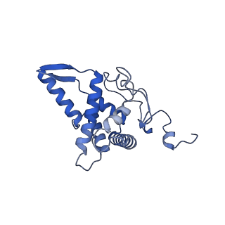 10053_6rxv_Cc_v1-1
Cryo-EM structure of the 90S pre-ribosome (Kre33-Noc4) from Chaetomium thermophilum, state B2