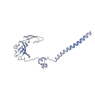 10053_6rxv_Cd_v1-1
Cryo-EM structure of the 90S pre-ribosome (Kre33-Noc4) from Chaetomium thermophilum, state B2