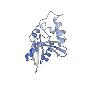 10053_6rxv_Ce_v1-1
Cryo-EM structure of the 90S pre-ribosome (Kre33-Noc4) from Chaetomium thermophilum, state B2