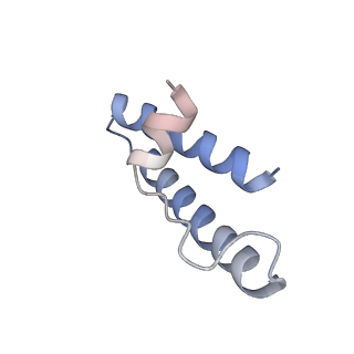 10053_6rxv_Ch_v1-1
Cryo-EM structure of the 90S pre-ribosome (Kre33-Noc4) from Chaetomium thermophilum, state B2