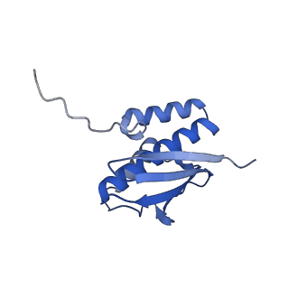 10053_6rxv_Cj_v1-1
Cryo-EM structure of the 90S pre-ribosome (Kre33-Noc4) from Chaetomium thermophilum, state B2