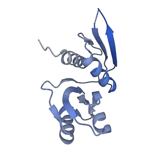 10053_6rxv_Cm_v1-1
Cryo-EM structure of the 90S pre-ribosome (Kre33-Noc4) from Chaetomium thermophilum, state B2
